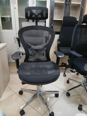 Erigonomice Chairs Mesh