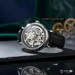 Perfect Gift: Tevise Luxury Automatic Watch + Gift Box