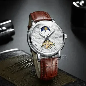 Tevise T612 Men's Automatic Mechanical Watch With a Silver-Tone Case