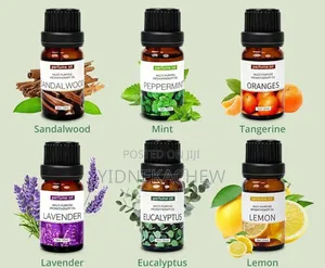 Aromatherapy Essential Oil Humdifier