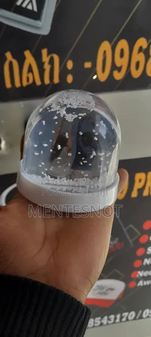 Snow Photo Globe Gift( የፎቶ ስጦታ