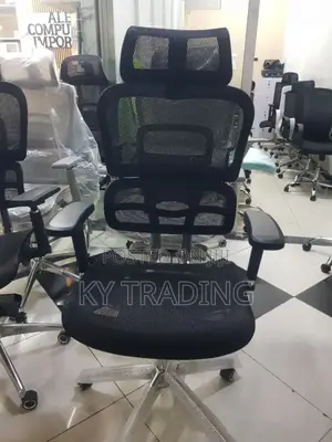 Full Mesh Ergonomic Office Chair