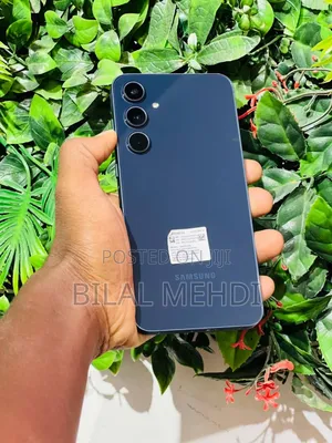 Samsung Galaxy A55 256 GB