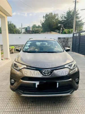 Toyota RAV4 XLE AWD (2.5L 4cyl 6A) 2016 Gray