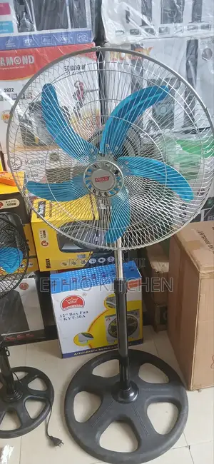 Proud Standing Fan