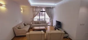 Furnished 3bdrm Apartment in Addis Abeba 🇪🇹, Bole for rent
