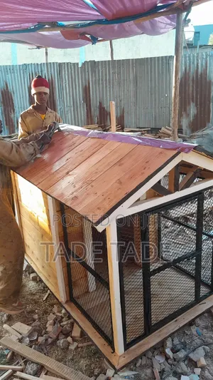 Wood Dog House