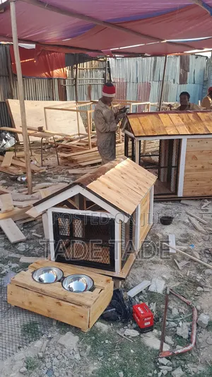 በእንጨት የሚሰሩ ማራኪ የውሻ ቤቶች