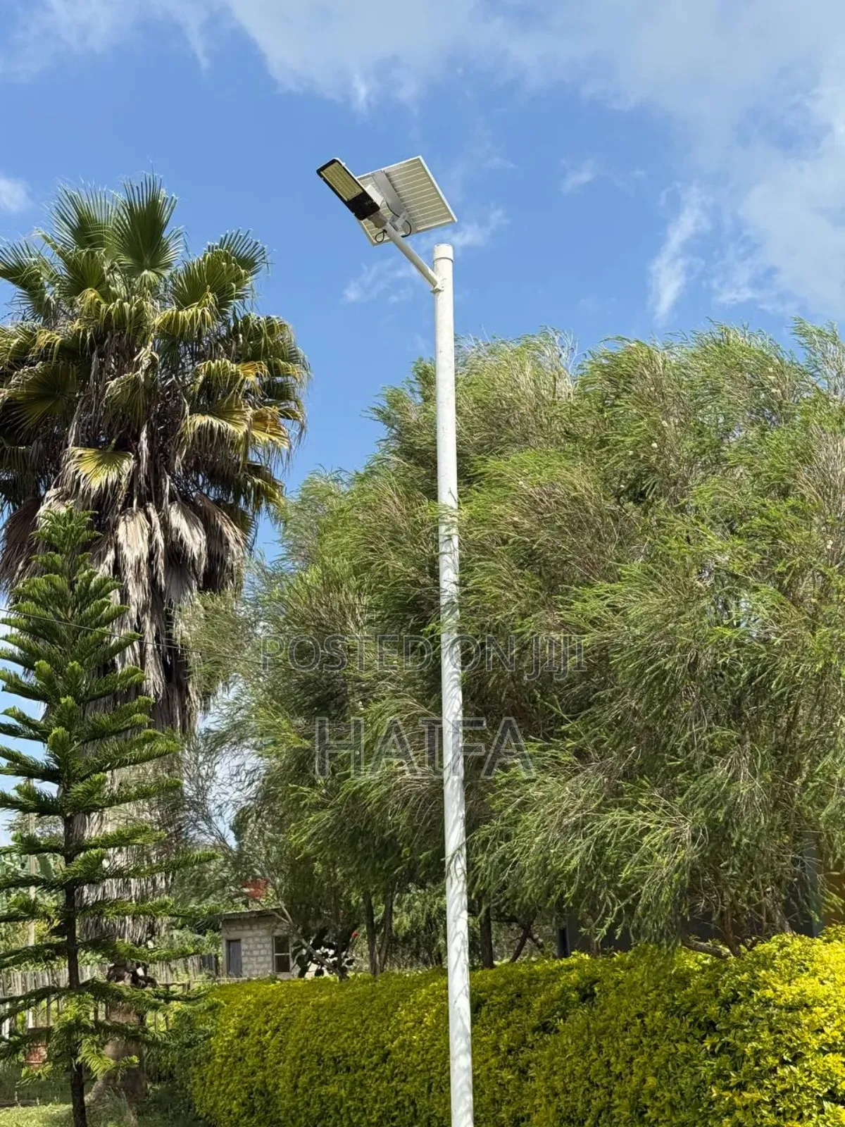 Solar Lights