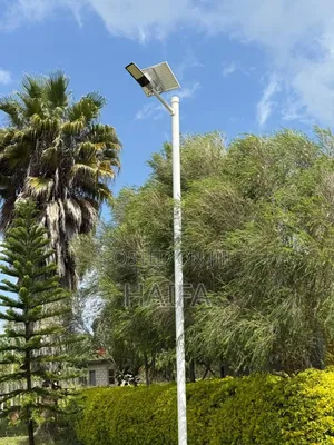 Solar Lights