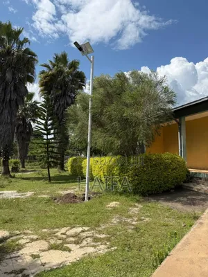 Solar Lights