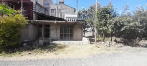 አስቸካይ የሚሸጥ ቢዝነስ ባታ