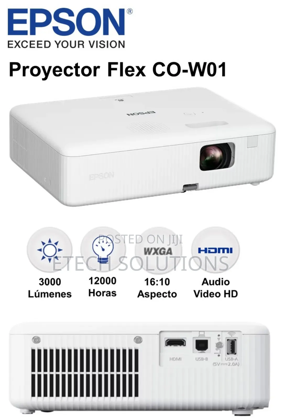 Epson Co - W 01 Projector