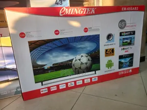 Eminigtek 65 Inch Tv