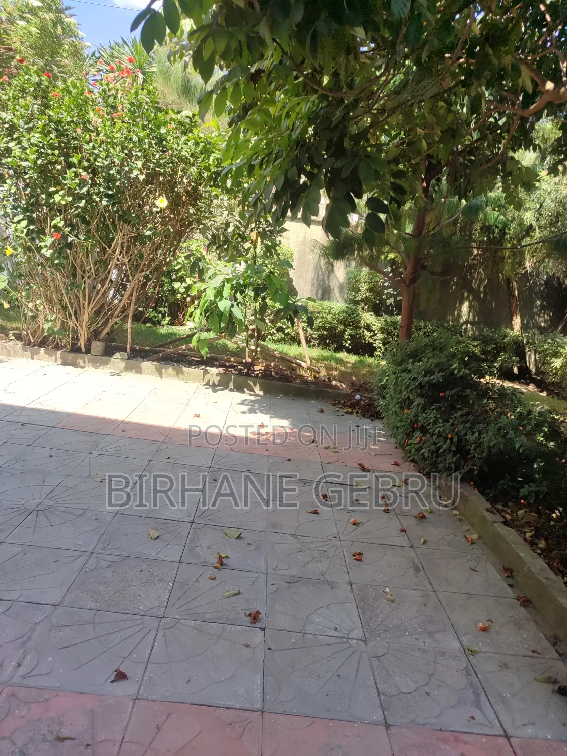 5bdrm House in G+2, Bole for rent