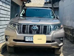 Toyota Land Cruiser Prado 2023 Purple