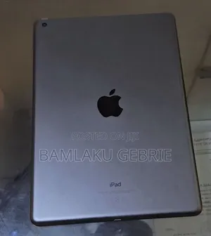 New Apple iPad 10.2 (2020) Wi-Fi 256 GB