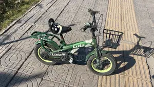 Bicycle Luta 12”