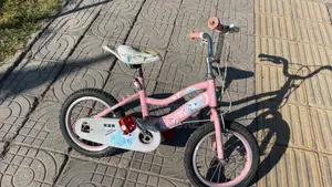 Pink Child's Bike