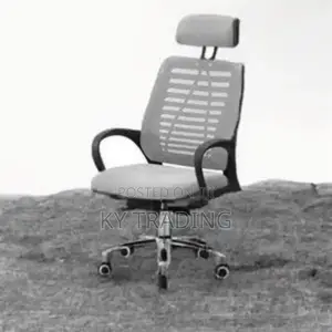 Secretary Office Chair( Silver Color)
