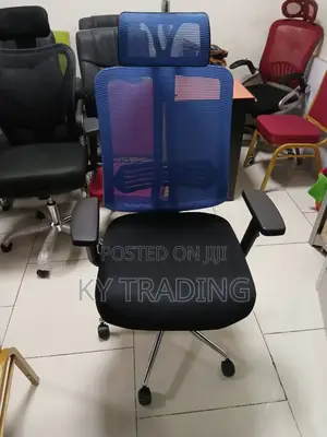 Office Chair(Back Blue Color)
