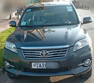 Toyota RAV4 2010 Gray