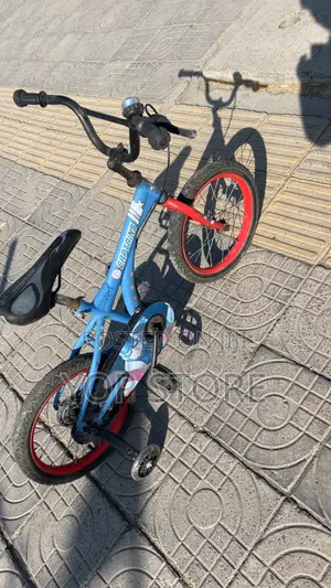 Bicycle 12”