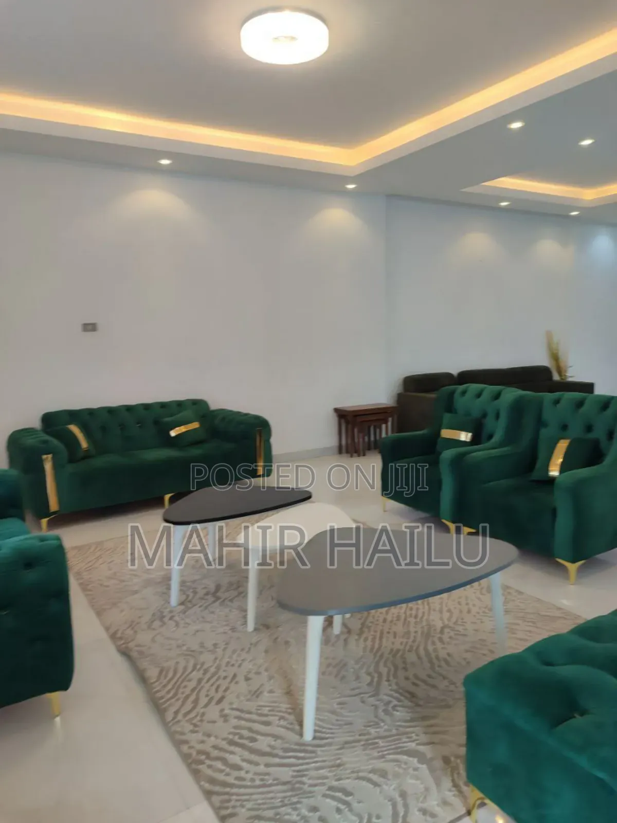 Furnished 7bdrm House in Real, Bole for rent