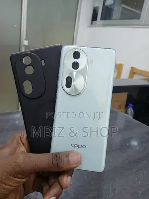 Oppo Reno11 256 GB Gray