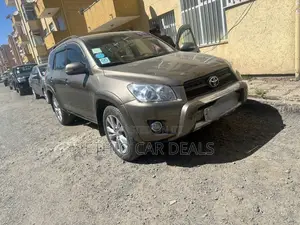 Toyota RAV4 2009 Brown