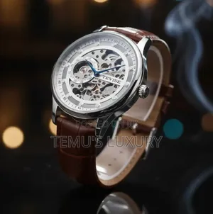 Tevise Original Automatic Mechanical Watch Men's Luxury Skeleton Watch