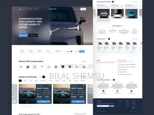 Website Development Service