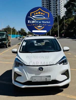Changan BenBen E-Star 2023 White