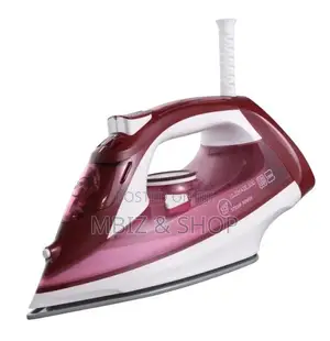 Royal Master Steam Iron