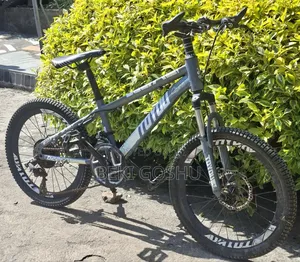 Original Cycle