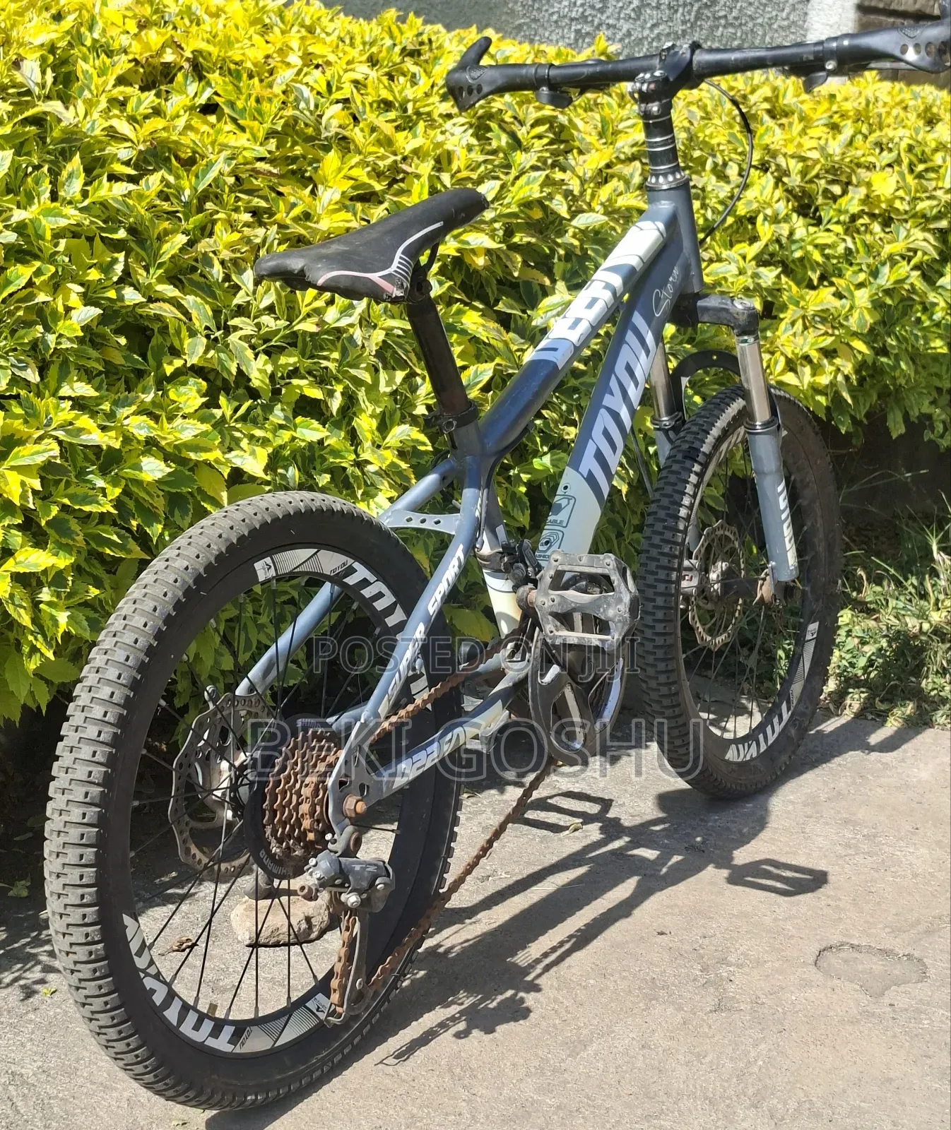 Original Cycle