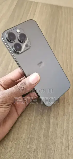 Apple iPhone 13 Pro 256 GB Silver