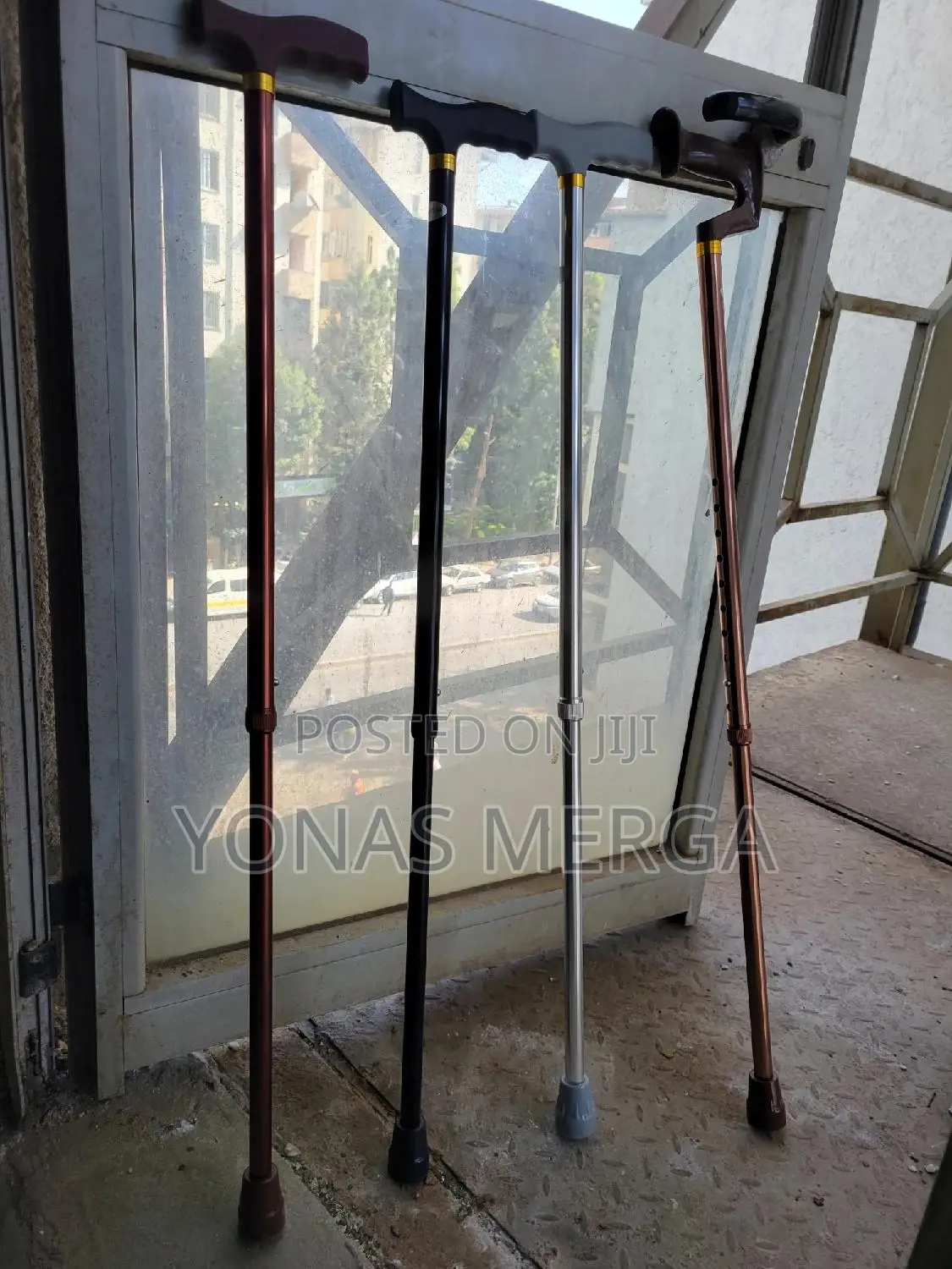Walking Stick竹0canes Shown Feature T-Shaped or Derby-Style Handles