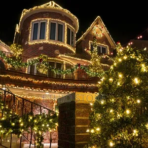 50m Multi Functional String Light