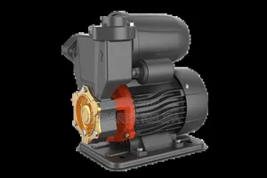 Leo Automatic Pump