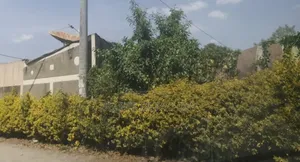 Bisrate Gebreal, Old House for Sale 900sqm