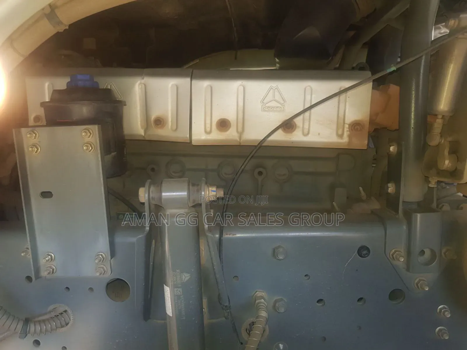 Cacino. 2021 Model