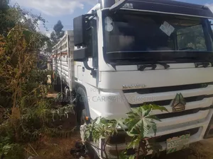 Cacino. 2021 Model