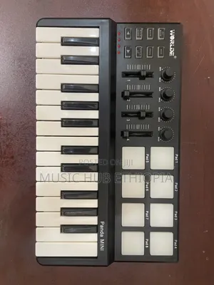 World Panda Mini Studio Midi Keyboard