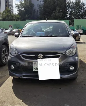 Suzuki Celerio 2022 Silver