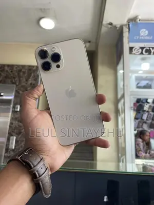 Apple iPhone 13 Pro Max 256 GB