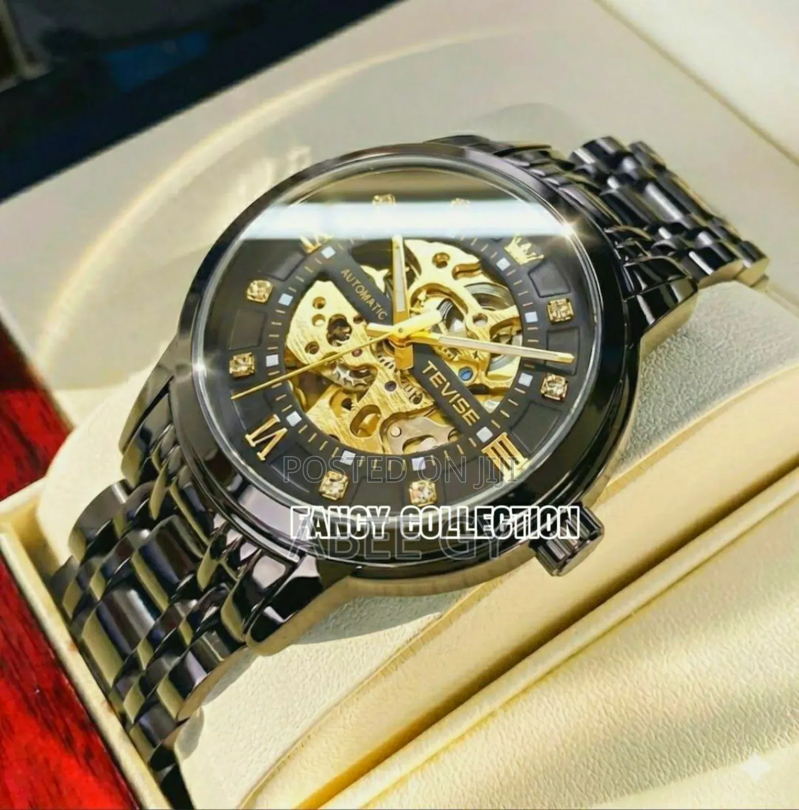 Tevise Automatic Mechanical Watches — Where Luxury Meets Precision