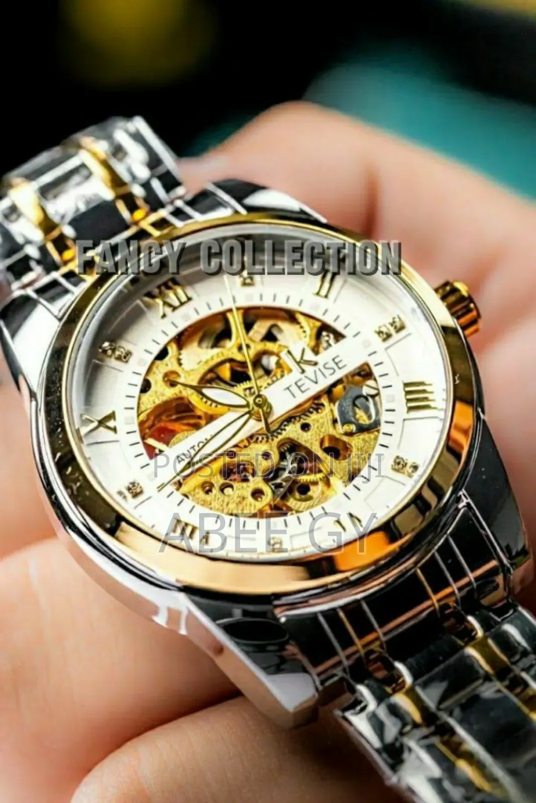 Tevise Automatic Mechanical Watches — Where Luxury Meets Precision